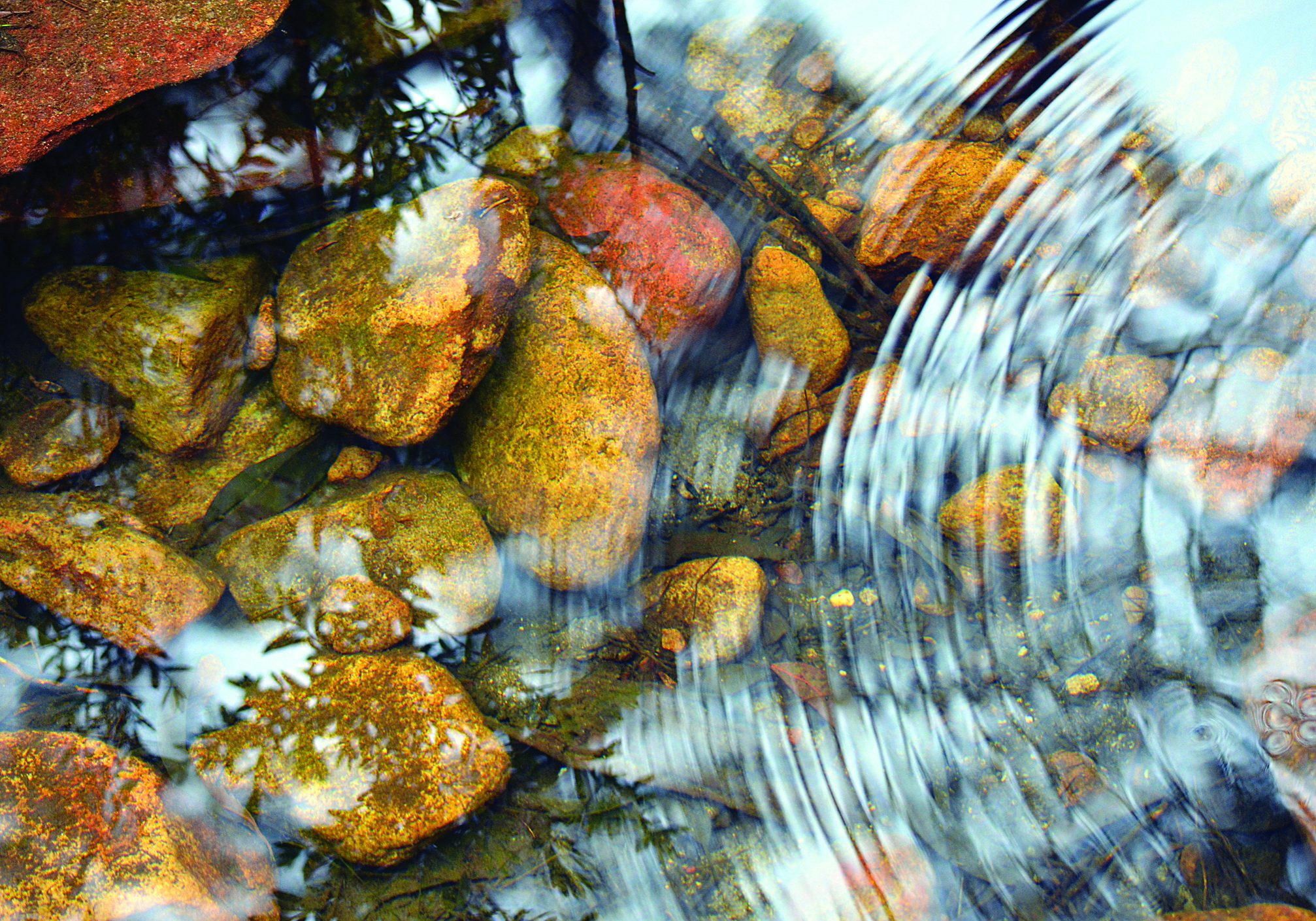Concentric ripples and sky and tree reflections in a shallow pebble filled stream bed